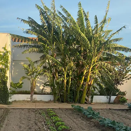 Casa Marieta A - Piscina privada *