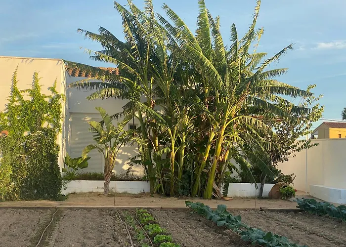 La Casa De Marieta 
