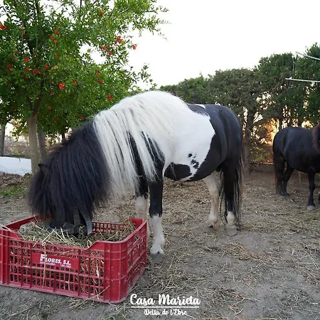 度假居 Casa Marieta A - Ideal Per A Families *